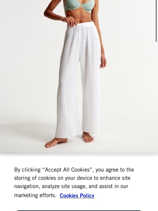 Abercrombie & Fitch Other - Abercrombie & Fitch Gauzy Beach Coverup Pant